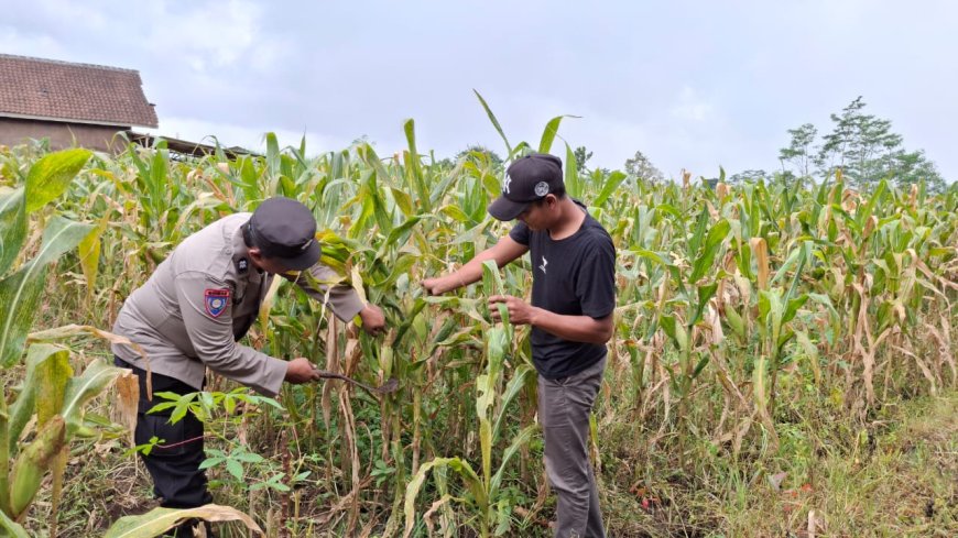 Polres Malang Konsisten Kawal Program Ketahanan Pangan Nasional 